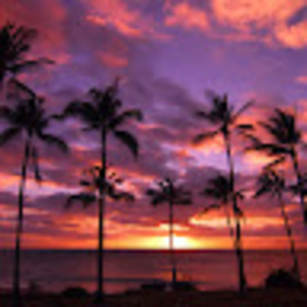 Meet your Posher, Sonia